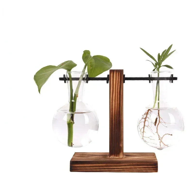 Hydroponic Plant Terrarium Vasevase Decoration Home