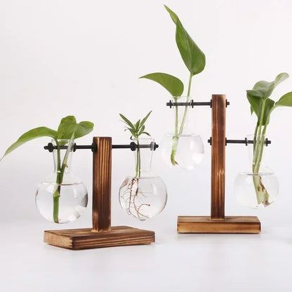 Hydroponic Plant Terrarium Vasevase Decoration Home