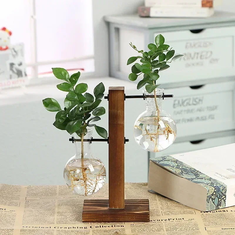 Hydroponic Plant Terrarium Vasevase Decoration Home