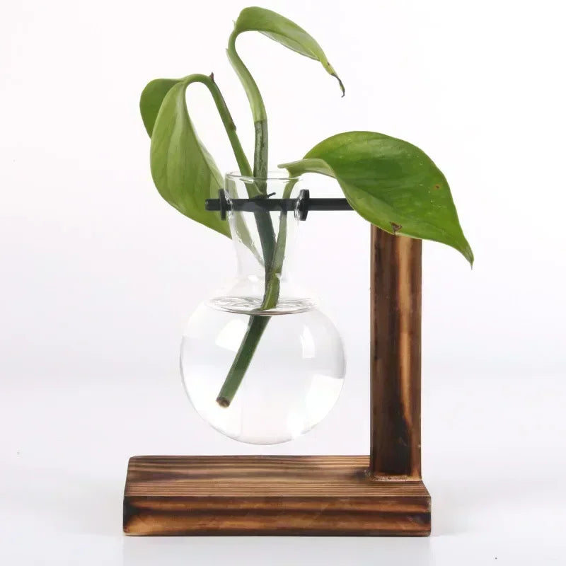 Hydroponic Plant Terrarium Vasevase Decoration Home