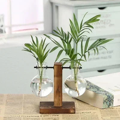 Hydroponic Plant Terrarium Vasevase Decoration Home